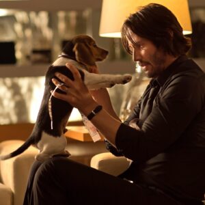 David Leitch Instagram - Ever since day 1 on John Wick, dogs have been at the core DNA of 87North. Give your pup extra love today and everyday! 🐶❤️👊
