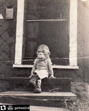 David Sedaris Instagram - #repost @gotweird This little one made us shudder, ca. 1950s. #halloween —DS