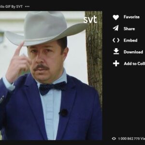 David Sundin Instagram - Denna gif från Bäst i Test nådde just EN MILJARD VISNINGAR! Den har visat sig vara internationellt gångbar och använts av kända NFL-spelare, youtubers etc. 1 000 862 755! Howdy Hollywood, här kommer jag!