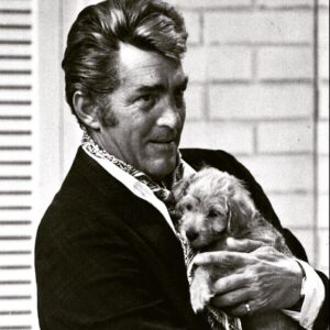 Dean Martin Instagram - It’s #nationaldogday today!! 🐶#deanmartin #kingofcool #dogsofinstagram #dogoftheday #dogs #dogsofinsta