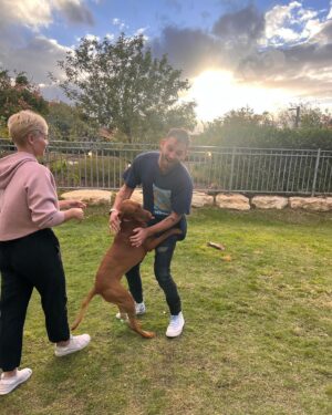 Dean Miroshnikov Instagram - רובכם הכרתם את מלכי גינזברג, לאחר שבעלה סגן אלוף אלי גינזברג נפל בימים הראשונים למלחמה. 
כל מי שצפה בך מלכי, ראה אשה חזקה, שחוותה אובדן של אהוב בפעם השניה בחייה וממשיכה לגדל ארבעה ילדים מקסימים, שנותנת השראה לכולם בעוצמות המבט שלך.
אלי היה המפקד שלי. השתתפתי עם אלי בכמה וכמה מבצעים. כן.. גם במרמרה אלי היה. אני זוכר שהוא פגש אותי על גג סיפון המרמרה כשהייתי כבר פצוע, ועצם הידיעה שאלי נמצא לידי-הרגיעה אותי. כי מי יכול לפגוע באלי. איש ענק וחזק בעוצמות בלתי מוסברות.
את מלכי הכרתי היום לראשונה כשבאתי לבקר לנחם בקיבוץ דוברת, מקום שליו בעמק יזראעל - גן עדן קטן שבנו להם משפחת גינזברג. הכאב והשכול שלך מלכי, ושל ילדייך בלתי נסבלים. אך לפגוש אתכם במציאות, הראה לי עד כמה הביחד שלכם חזק. באתי לחזק ויצאתי מחוזק, יצאתי עם אנרגיות חדשות ועם תקווה בלב. מלכי סיפרה לי שהיא רוצה שיכירו את אלי בכל מקום, שיכירו איזה בן אדם היה, איזה גיבור היה, איזה אבא ובעל טוב היה - מלח הארץ. 
אזכור אותך תמיד אלי, 
כבר התחברתי עם הילדים המדהימים שלך, פגשתי את מיקה, אני זוכר איך סיפרת לנו שהיא נולדה. יפייפיה.
ואפילו סיכמנו שאנחנו חברים.
