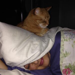 Deanna Russo Instagram - I know death doesn’t give warnings but, boy, does it have a sense of humor. The last words I said to my cat were, “Just go and die already.” Maybe the full moon last night did have as much power as all the astrologers said it would because my words came true. My orange bastard of a cat went and died already. 

He was old and had just pissed on the rug. I was mad so I shoved his nose in his mess and then put him outside, which wasn’t really a punishment. He loved going outside. He had cultivated several names in the many homes he frequented, but in my house, he was The Dude. 

The Dude would abide, but he also had strong opinions about the company I kept. He never warmed up to the kids. I think he considered himself my primary partner and didn’t like sharing my attention. He’d piss in your shoes or shit on your head while you slept if he didn’t want you around. He stood at the helm of my romantic life, the bastard. 

One day while shopping for protection dogs, this determined orange kitten crawled up my pant leg and didn’t leave me alone for the next 15 years. He earned the name because that’s what I shouted every time he charged at his reflection in a floor mirror, cracking his skull against the silver glass, “Dude!” It just stuck. 

The Dude and I were so closely connected before I became a human-mom that I would hold him and sob at the thought of him dying one day. And now that day is today. It was very un-dude of him to piss on my rug because yes, it really did tie the room together, but he did take his own exit, which is something he knew I wanted.