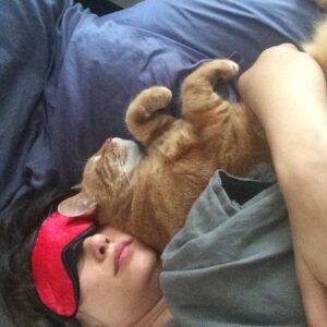Deanna Russo Instagram - I know death doesn’t give warnings but, boy, does it have a sense of humor. The last words I said to my cat were, “Just go and die already.” Maybe the full moon last night did have as much power as all the astrologers said it would because my words came true. My orange bastard of a cat went and died already. 

He was old and had just pissed on the rug. I was mad so I shoved his nose in his mess and then put him outside, which wasn’t really a punishment. He loved going outside. He had cultivated several names in the many homes he frequented, but in my house, he was The Dude. 

The Dude would abide, but he also had strong opinions about the company I kept. He never warmed up to the kids. I think he considered himself my primary partner and didn’t like sharing my attention. He’d piss in your shoes or shit on your head while you slept if he didn’t want you around. He stood at the helm of my romantic life, the bastard. 

One day while shopping for protection dogs, this determined orange kitten crawled up my pant leg and didn’t leave me alone for the next 15 years. He earned the name because that’s what I shouted every time he charged at his reflection in a floor mirror, cracking his skull against the silver glass, “Dude!” It just stuck. 

The Dude and I were so closely connected before I became a human-mom that I would hold him and sob at the thought of him dying one day. And now that day is today. It was very un-dude of him to piss on my rug because yes, it really did tie the room together, but he did take his own exit, which is something he knew I wanted.