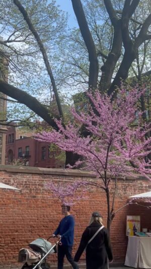 Deirdre Lorenz Instagram - Every day is Earth Day. Hey spring, you’re so blooming pretty!🌸😍🌿 #nyc #love #soho #flowers #manhattan #goodvibes #earthday #treehugger #beautiful #bloom #planet