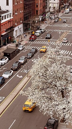 Deirdre Lorenz Instagram - New month. New adventures.🎬 #nyc 

#creativelife #actress #model #filmmaker #creative #contentcreator #inspired #spring #fresh #blooming #newyork #nyclife #contentcreator #enjoyingthemoment #goodvibes #goodlife #empirestatebuilding #series #oldnewyork #hollywood #romance #enjoyyourlife #thisisyourtime #raiseyourvibration #april
