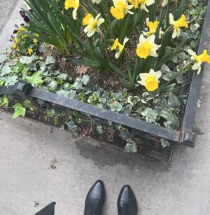 Deirdre Lorenz Instagram - April showers… 🌦️🎬 and all good energy.✨ Thank you so much to @itza_vivi for working with me to create and bring my film company logo to life.  Love it!👏✨💫
.
.
.
#nyc #springflowers #nyclife
#lookoutpointfilms #newyork #actress #model #director #filmmaker #creativelife #collaboration #projectdevelopment #audition #raiseyourvibration #goodvibes #ilovearainyday #behindthescenes