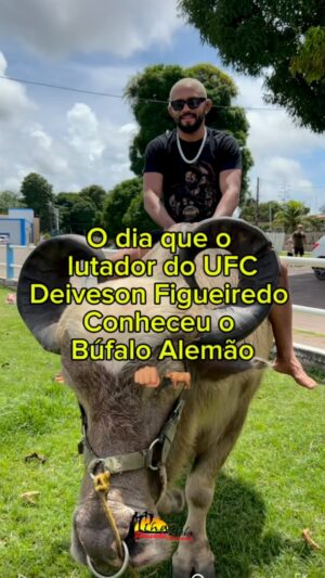 Deiveson Figueiredo Instagram - O dia que o Deiveson Figueiredo, o nosso Deus da guerra do UFC conheceu o búfalo mais famoso do Marajó! 😍

Foi maravilhoso lhe receber, campeão! Volte sempre pra sua casa! 💛

@daico_deusdaguerra 💪🏽

#DeivesonFigueiredo #DaicoDeusDaGuerra #UFC #BufaloAlemão #Soure #IlhaDoMarajó