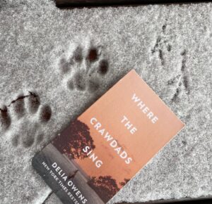 Delia Owens Instagram - Notice that the cat is going one way, the bird the other way. I hope all of you who were hit by snow storms are back in the sunshine. Crawdads, which first appeared on the NYT BESTSELLER LIST in September 2018, is still in the top five (paperback)! Thanks to all of you!