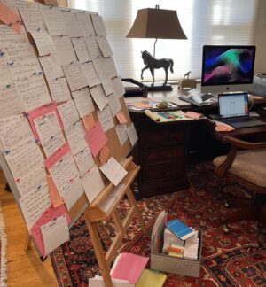 Delia Owens Instagram - Writing a book is a messy business!  Is this a new novel?  Meanwhile Crawdads still on the NYT Bestseller List. Thank you everyone.