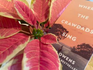 Delia Owens Instagram - Where the Crawdads Sing enters its fourth Christmas Season on the New York Times Bestseller List. And it’s still in the top 5!  I never forget it is all because of you.