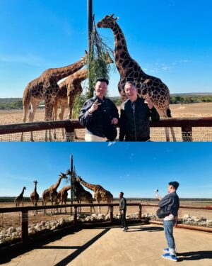 Dennis Chew Instagram - 昨天“蔡煌崇” 到了莫纳托野生动物圆 (Monarto Safari Park) 喂长颈鹿！🦒😍 

今天的行程也很精彩，早上来到了汉多夫(Hahndorf) 体验制作苹果馅饼，之后也前往了茱莉蔻农场 (Jurlique Farm) 参观！

明天会去哪里玩呢？记得锁定早上9点的 FB LIVE! ✌️

📅 5月13日 - 17日（星期一到五）
📟 8AM - 10AM （现场广播）
🔴 9AM - 10AM （Facebook Live)

#LOVE972 #早安玉建蔡煌崇