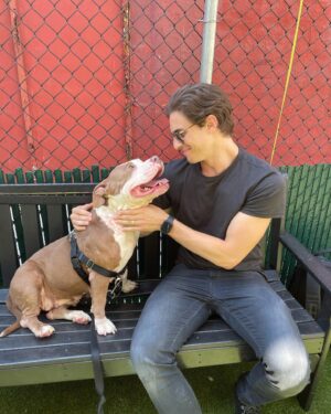Derek Klena Instagram - Meet “Her Majesty” ❤️ this little bundle of joy and love is one of many pets looking for a wonderful home at the @nycacc . She has been at the shelter for 58 days and deserves that forever home. Her ID is 146926. This Saturday they have a special “Clear The Shelters” adoption event from 11am-5pm where they will be waiving adoption fees! Check out the link below (and in bio) if you are interested in adopting “Her Majesty,” or if you like to hear more info about the shelter and/or their other animals. Please forward to anyone and everyone who may be looking for that special someone and lets help find these sweeties a home! #takeabowwow #boroughbred https://www.nycacc.org/cleartheshelters