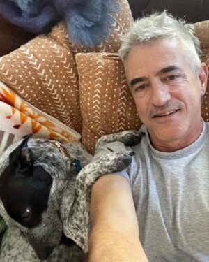 Dermot Mulroney Instagram - free dog! thx @thelabellefoundation #Lucy free haircut too #cutathome #strikemullet #fauxhawk?