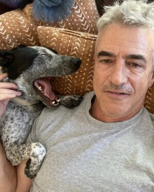 Dermot Mulroney Instagram - free dog! thx @thelabellefoundation #Lucy free haircut too #cutathome #strikemullet #fauxhawk?