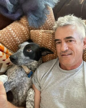 Dermot Mulroney Instagram - free dog! thx @thelabellefoundation #Lucy free haircut too #cutathome #strikemullet #fauxhawk?
