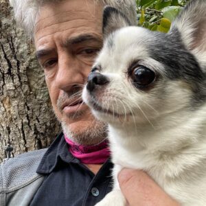 Dermot Mulroney Instagram - 🌸 last week we ALMOST lost Posie but she pulled through!! 🌸👑 talk about tough ! 🙏👊 #itainteasybeingqueen 🐶👑 #chihuahua