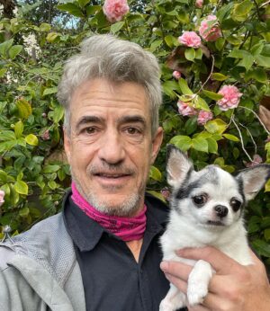 Dermot Mulroney Instagram - 🌸 last week we ALMOST lost Posie but she pulled through!! 🌸👑 talk about tough ! 🙏👊 #itainteasybeingqueen 🐶👑 #chihuahua