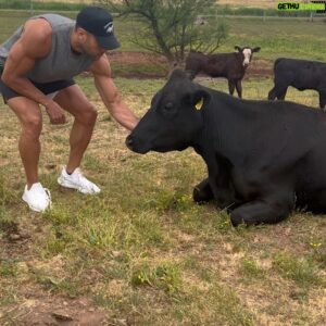Devin Goda Instagram - Had an amazing time learning and working a little on the farm today @mapledalemeats 

If you guys are in the Lancaster county area be sure to check them out! 

Swipe➡️