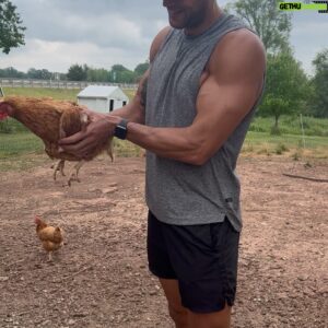 Devin Goda Instagram - Had an amazing time learning and working a little on the farm today @mapledalemeats 

If you guys are in the Lancaster county area be sure to check them out! 

Swipe➡️