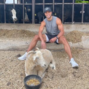 Devin Goda Instagram - Had an amazing time learning and working a little on the farm today @mapledalemeats 

If you guys are in the Lancaster county area be sure to check them out! 

Swipe➡️