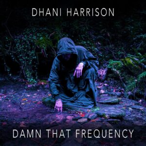 Dhani Harrison Instagram - We interrupt your normal programming to bring you this important broadcast message. 

New track out now. Dig it. 

peace. x dhani