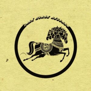 Dhani Harrison Instagram - It is my great pleasure to announce the first new release from @darkhorserecords and what an artist !!!!! 
GO JOE !!!!