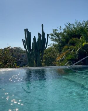 Diego Amozurrutia Instagram - La pura gozadera! @bayside_vacations_huatulco gracias por la elegancia, les recomiendo se queden en este bello condominio. Mi México es bello!!!! Arrocito beach es una delicia!!!