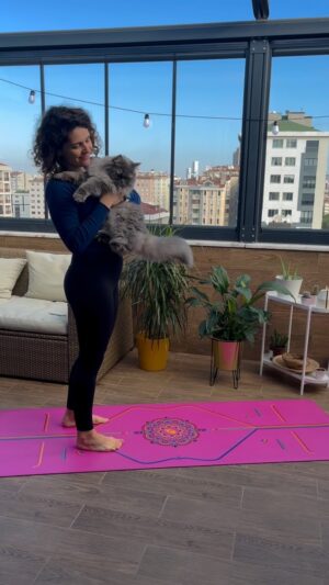 Dila Bayrak Instagram - •
Yoga, zihin, beden ve kalp üçlüsüyle birlikte çalışır. Zamanla bu üçlünün uyumlanması kaçınılmazdır. 
Yoga bize berrak bir zihin, açık bir kalp ve özgür bir beden sunar. 

Namaste 🧡

#yoga
#hamileyogası
#hamile #hamilelik
#yogainspiration
#yogapractise
#yogapose
#dilabayrakhamileyogası
#dilabayrakyoganefes
#andanefestedoğumda