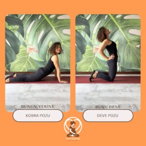 Dila Bayrak Instagram - •
Hamile Yogası, klasik yoga pozlarının gebelere özel uyarlanmış hallerini bize sunar. Gebelik sürecinde klasik yoga pozlarından bazılarından kaçınılır, bazıları da özel versiyonlarıyla yapılmalıdır. 
Özellikle karın bölgesinde iç basıncı arttıracak hareketlerden uzak durulur.

Sizler için birkaç pozun klasik hali ve gebeliğe özel halini hazırladım.😌

🔸Kobra pozunun yerine deve pozu uygulayabilirsin,
🔸Üçgen pozunun tam hali yerine destekli olanı yapabilirsin,
🔸Yan sopa duruşunda yerden destek alamak için bacağını kullanabilirsin.

#yoga
#hamileyogası
#hamile #hamilelik
#yogainspiration
#yogapractise
#yogapose
#dilabayrakhamileyogası
#dilabayrakyoganefes
#andanefestedoğumda