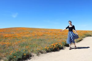 Dilan Gwyn Instagram - #Tbt to around this time last year when I was prancing around a poppy field in California. I'll have to settle for field full of dandelions in Sweden this year instead. 🌼
⠀
#Poppies #PreRona #CoronaTimes