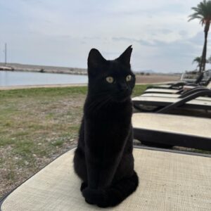 Dilara Aras Instagram - Antalya demek Pelin demek🫠