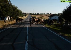 Dilek Yorulmaz Instagram - Orada bir köy var uzakta!
.
.
.
#oradabirköyvaruzakta #nature #villagelife #photography #photooftheday #köy #life #earlymorning #