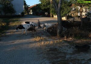 Dilek Yorulmaz Instagram - Orada bir köy var uzakta!
.
.
.
#oradabirköyvaruzakta #nature #villagelife #photography #photooftheday #köy #life #earlymorning #