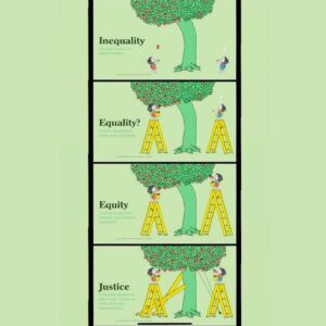 Dilshad Vadsaria Instagram - Inequality, Equality, Equity, Justice 
#shelsilversteingivingtree