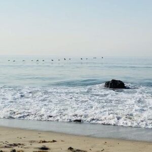 Dilshad Vadsaria Instagram - For anyone having a hard time right now, the ocean always calms and centers me. Know as alone as you may feel you aren’t. Love always surrounds you. I hope you’ll find a slice of peace with this video. ❤️ #soundon