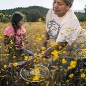 Dilshad Vadsaria Instagram - My September blog post, The Spiritual Filmmaker, focuses on an incredible documentary filmmaker and my dear friend @mrsanjayr. Sanjay is one of the kindest people I know. There is a serenity he holds and a wisdom he lives with, which I continue to learn from. 
❤️
Sanjay’s work focuses on the plight of those unseen in our vastly modern and busy society. His newest film @gatherfilm focuses on Native Americans and their journey to reconnect to their culture through food. It’s incredibly moving & beautifully shot. It’s also a @nytimes critics pick! Yay! 
❤️
Link to my blog is in my bio. There is so much we can all learn from this wonderful human being. I hope you’ll take some time to #beinspired. ❤️