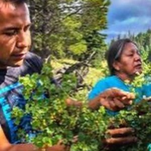 Dilshad Vadsaria Instagram - My September blog post, The Spiritual Filmmaker, focuses on an incredible documentary filmmaker and my dear friend @mrsanjayr. Sanjay is one of the kindest people I know. There is a serenity he holds and a wisdom he lives with, which I continue to learn from. 
❤️
Sanjay’s work focuses on the plight of those unseen in our vastly modern and busy society. His newest film @gatherfilm focuses on Native Americans and their journey to reconnect to their culture through food. It’s incredibly moving & beautifully shot. It’s also a @nytimes critics pick! Yay! 
❤️
Link to my blog is in my bio. There is so much we can all learn from this wonderful human being. I hope you’ll take some time to #beinspired. ❤️