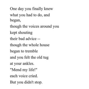 Dilshad Vadsaria Instagram - To every incredibly brave, strong, scared but resilient woman out there. ❤️ to you. 
#happyinternationalwomensday #maryoliver 
#repost @oliviawilde