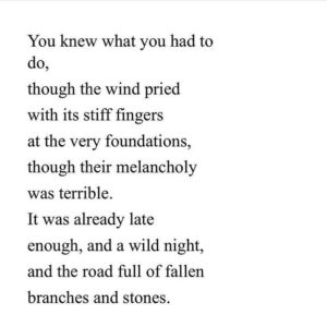 Dilshad Vadsaria Instagram - To every incredibly brave, strong, scared but resilient woman out there. ❤️ to you. 
#happyinternationalwomensday #maryoliver 
#repost @oliviawilde