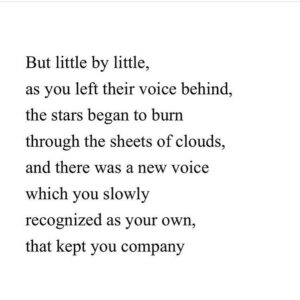 Dilshad Vadsaria Instagram - To every incredibly brave, strong, scared but resilient woman out there. ❤️ to you. 
#happyinternationalwomensday #maryoliver 
#repost @oliviawilde
