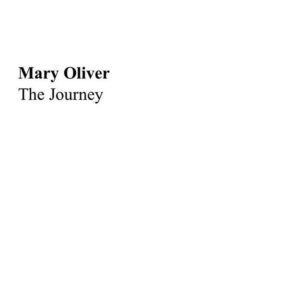 Dilshad Vadsaria Instagram - To every incredibly brave, strong, scared but resilient woman out there. ❤️ to you. 
#happyinternationalwomensday #maryoliver 
#repost @oliviawilde