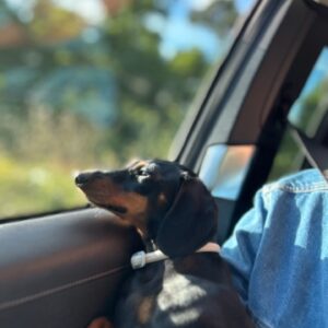 Diogo Infante Instagram - A única coisa que a faz acalmar…😜