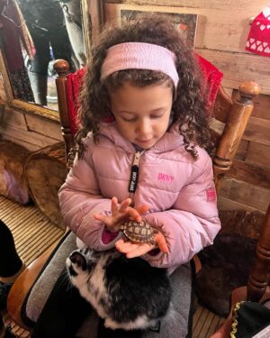 Dion Dublin Instagram - A Great Christmas Eve @nanny_sharons_alpaca_farm a brilliant place to visit for ALL the family!
