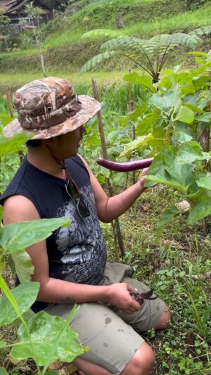 Dodit Mulyanto Instagram - Mau bikin masakan Eropa biar sle…. Buat masyarakat yg ingin main ketempatku mantion ya. Kuota terbatas.