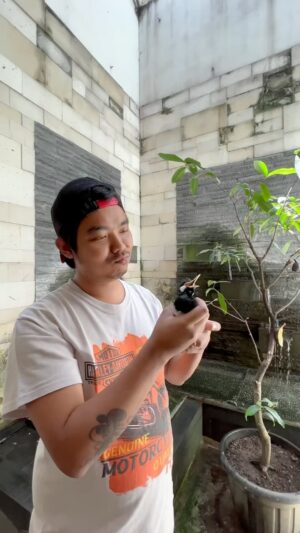Dodit Mulyanto Instagram - Guys aku kenalin nih si dia yg selalu menemaniku, 
menghangatkan leherku dan membuat aku bahagia karena badanku selalu fit namanya TASNGIN 
So sweet banget pokoknya 😘