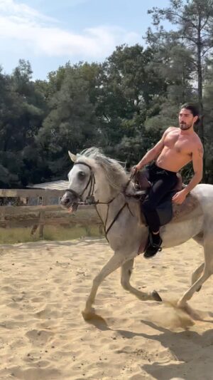 Doğan Bayraktar Instagram - Kavuştuk 🐯🐴!