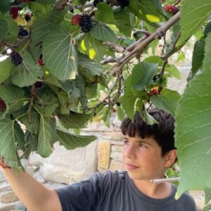 Doğukan Polat Instagram - 