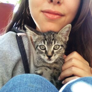 Dominick Alaimo Instagram - 🐱💕