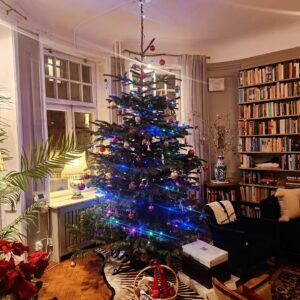 Dominika Peczynski Instagram - Sent omsider att slå till med en granbild måhända men den står ju här och är inte direkt osynlig. Älskar allt med jul. Hur länge kan man ha kvar granen egentligen? Måste den ut på tjugondag Knut?