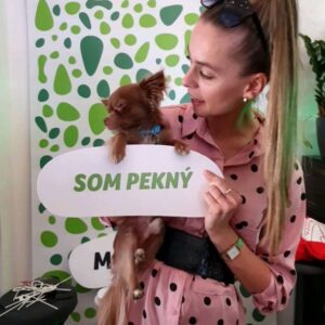 Dominika Richterová Instagram - Leo včera na diskusií v @id_klub v Nitre 🍀💚🐶 Užil si to naplno;)) Okrem toho, že je podľa ipečkárov "pekný" je od nich aj parádne vymojakný😍🐶💚🍀 #ipcko @ipcko #idklubnitra #idklub